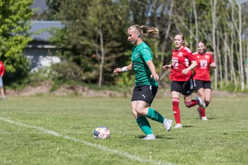 Bild 175 - F SG NieBar - IF Stjernen Flensborg : Ergebnis: 2:0